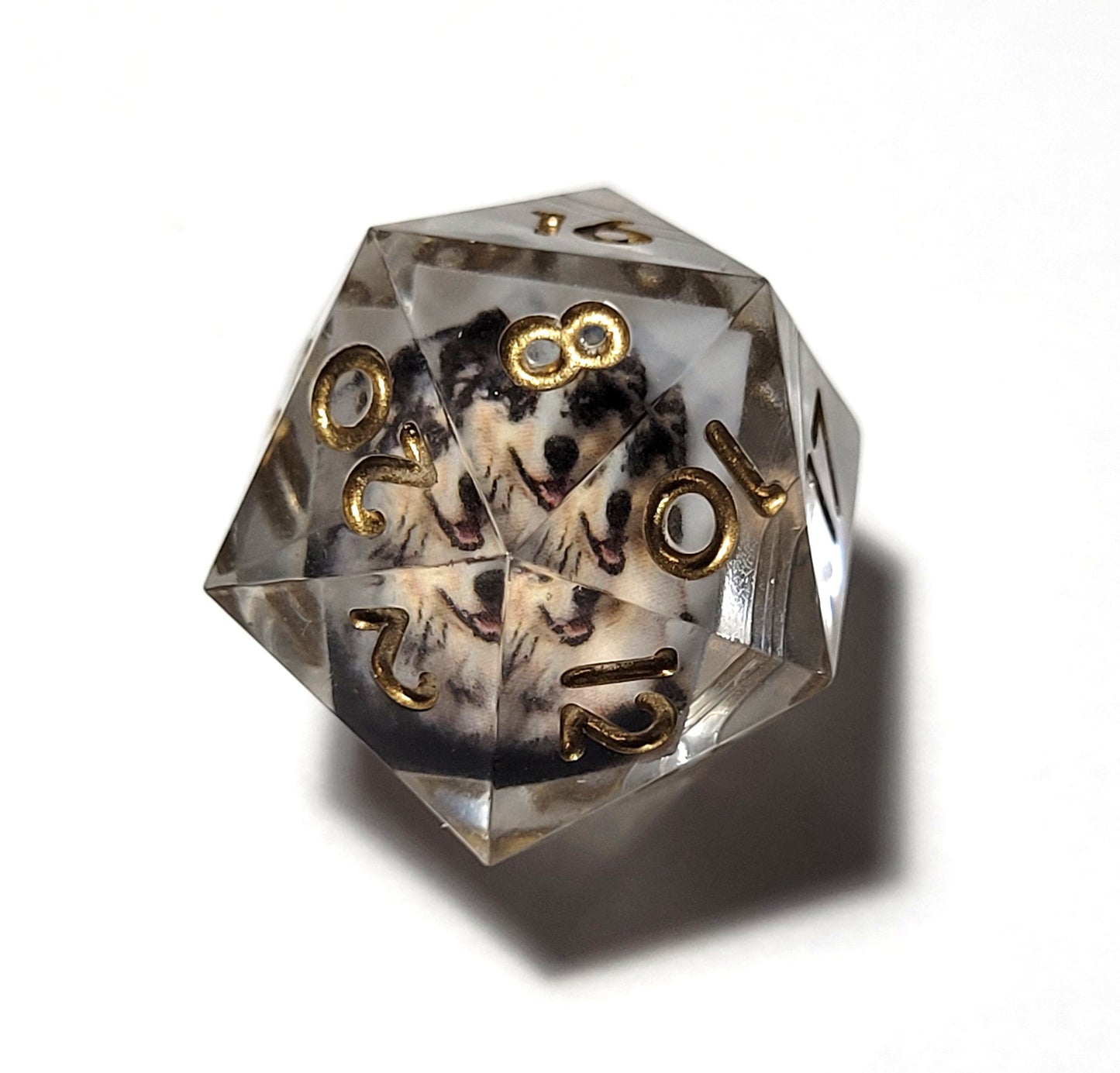 Custom Photograph D20 - The Cerulean Wolf