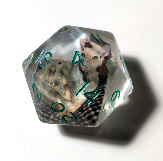 Customisable Photograph Chonk D20 - The Cerulean Wolf