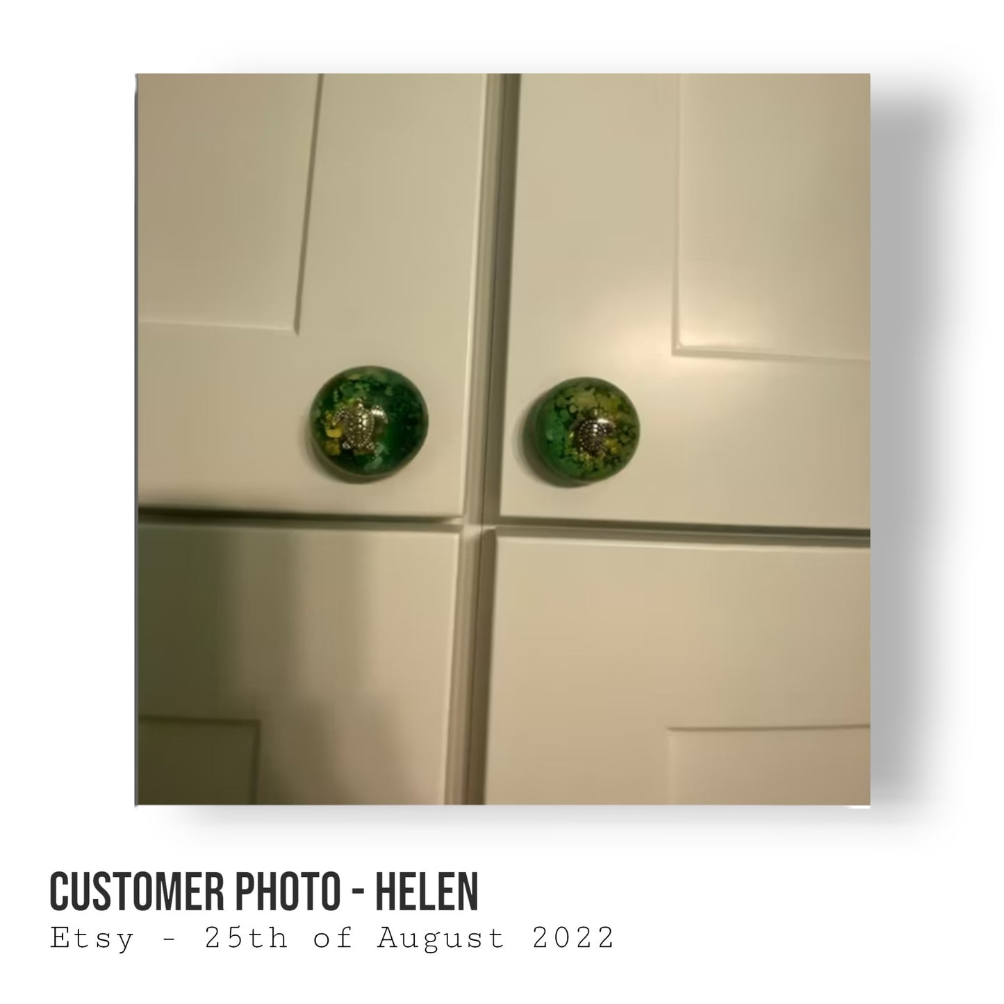 Turtle Cabinet Door Handles/Knobs - The Cerulean Wolf