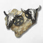Black and Silver Skull Earrings With Black Pentagrams - The Cerulean Wolf