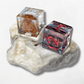 Custom Photograph D6 - The Cerulean Wolf