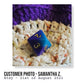 Customisable Single D8 Dice - The Cerulean Wolf